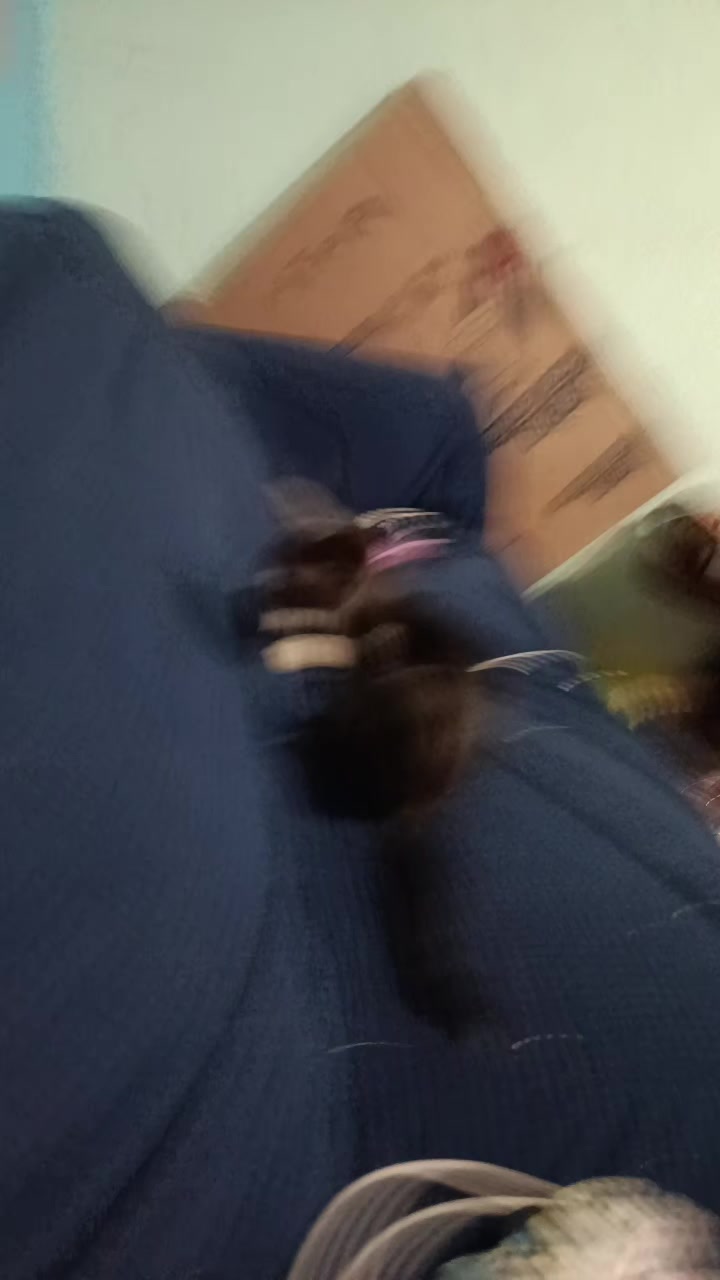 @cristhogc