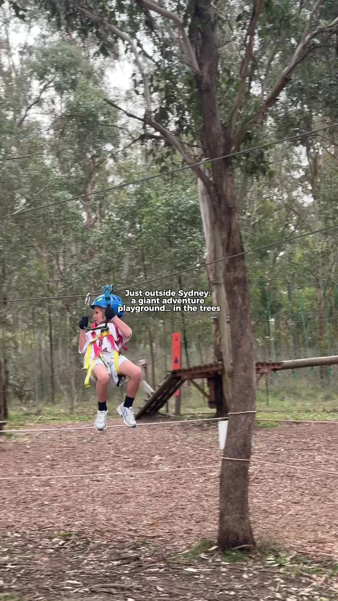 @Experience Oz