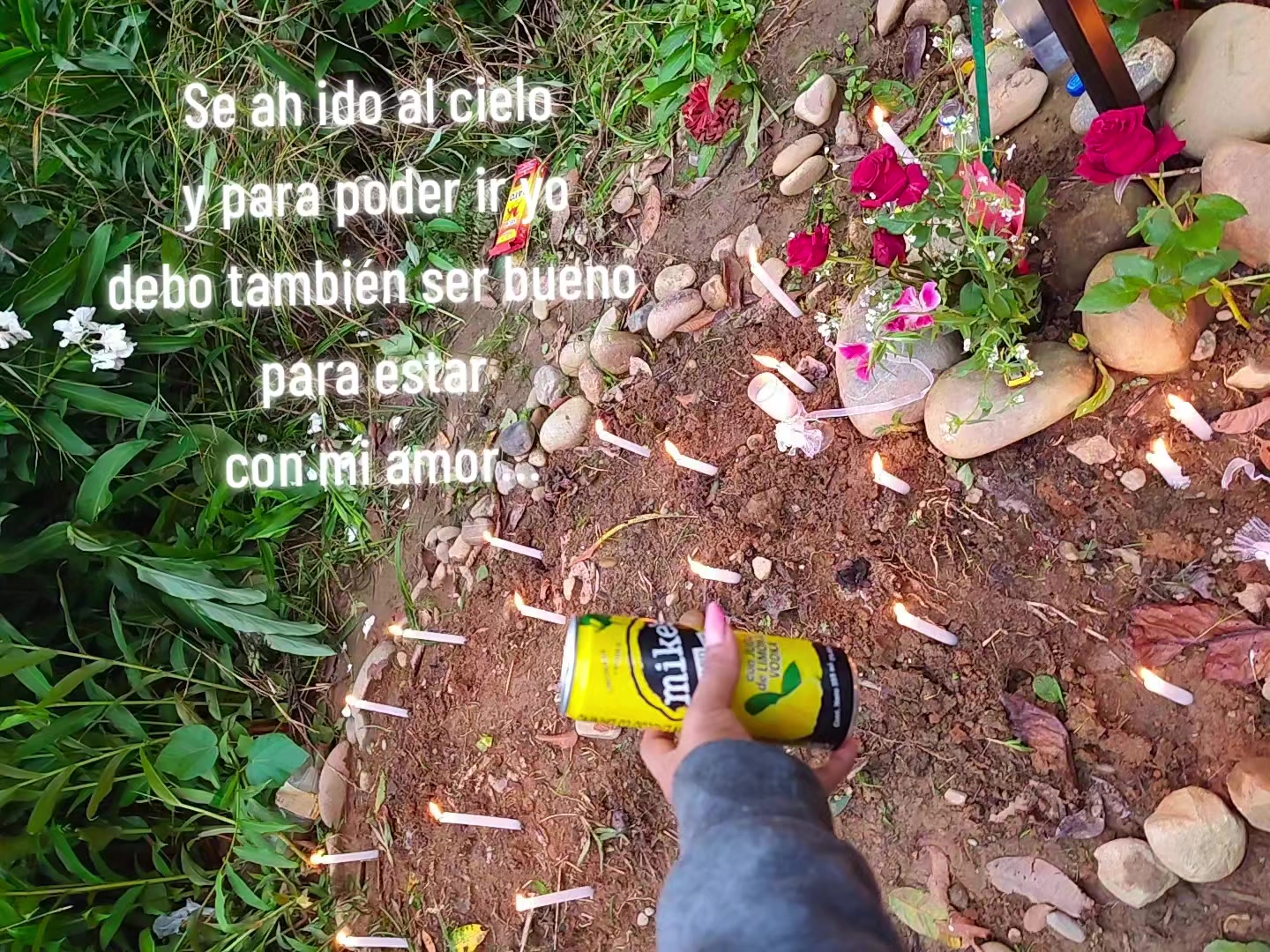 @༺☆𝒟𝓊𝓁𝒻𝓎☆༻