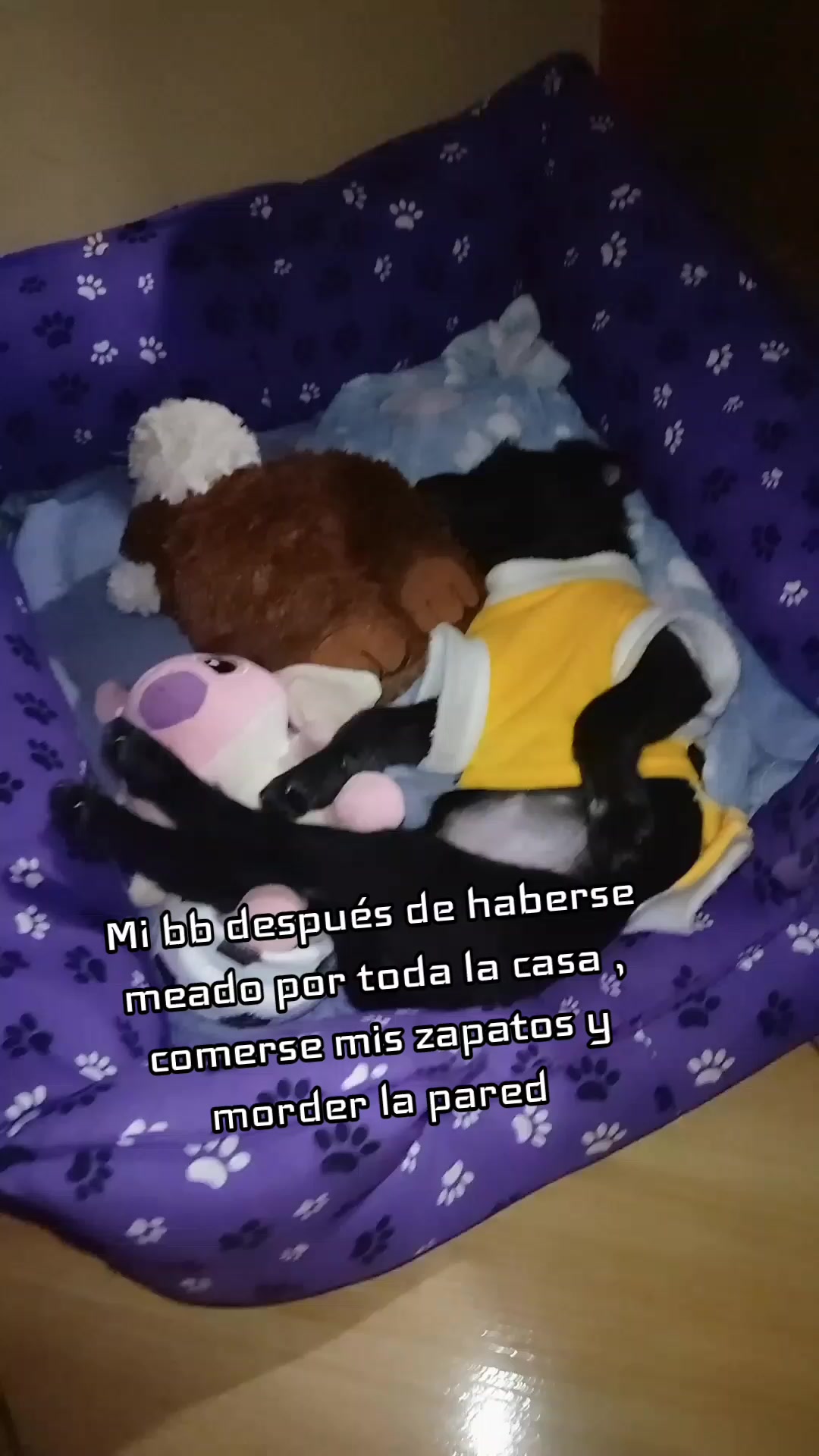 @★꧁༒&hearts;️ .𝔹𝕣𝕚𝕘𝕚𝕥𝕥𝕖 .&hearts;️༒꧂★