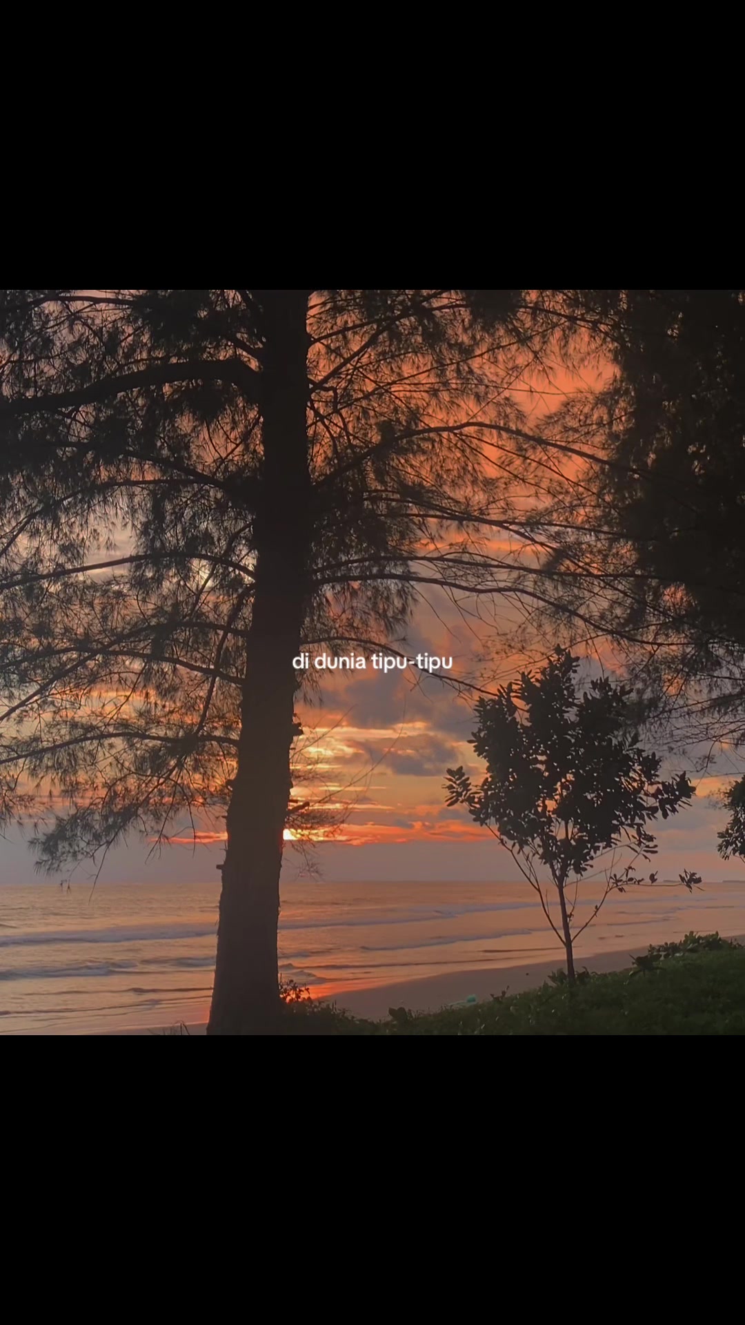 @lonelynes🥀