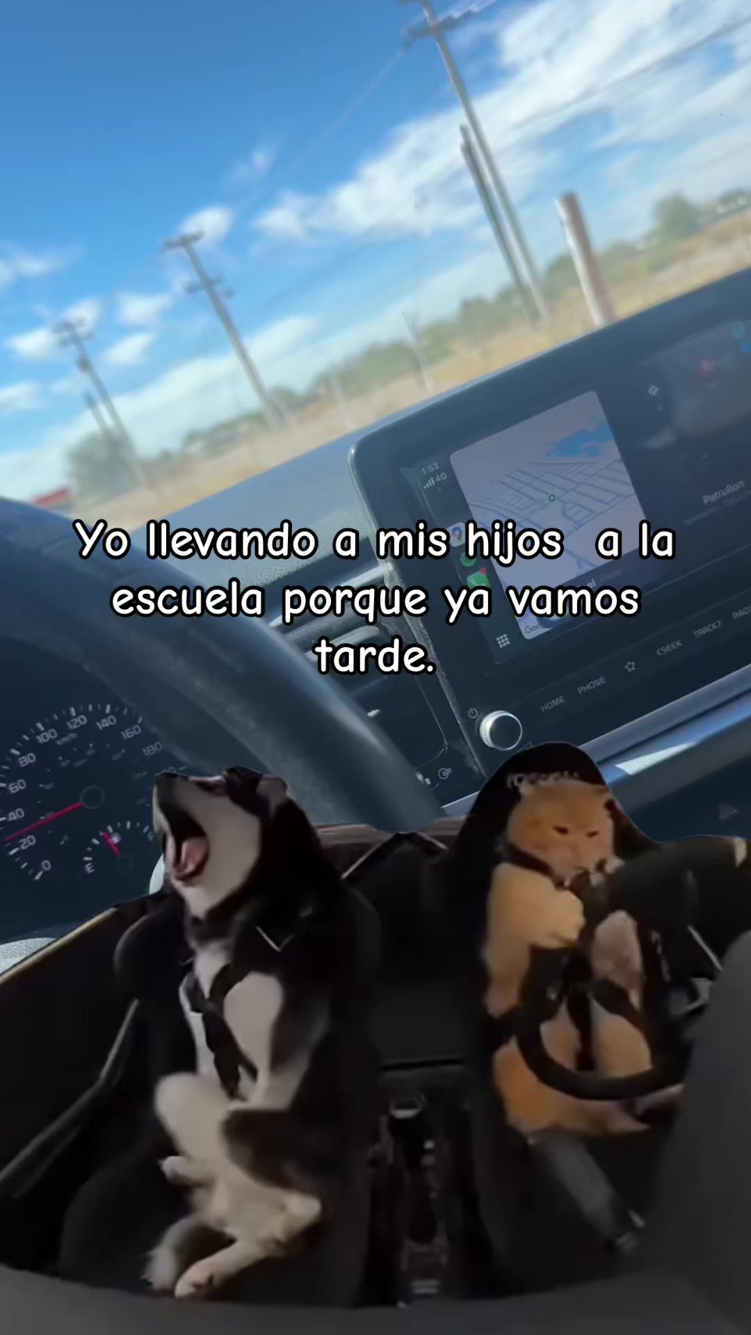 @Flor Rodriguez Aguil