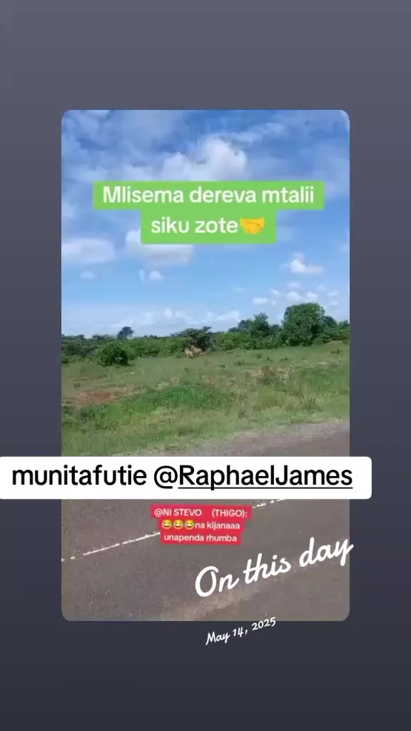 @NI STEVO     (THIGO)