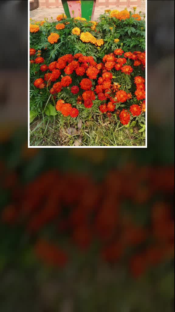 @আম্মুর আদরের মেয়ে
