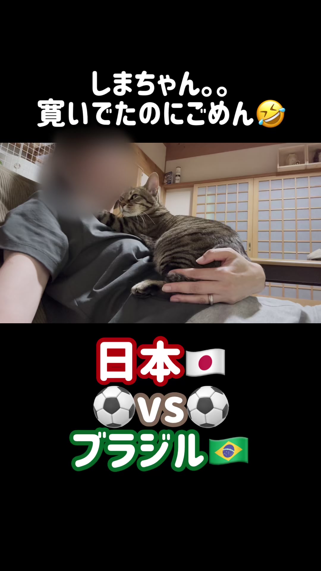 @ねこぷにもふ|ホワイトシェパードのハクちゃん