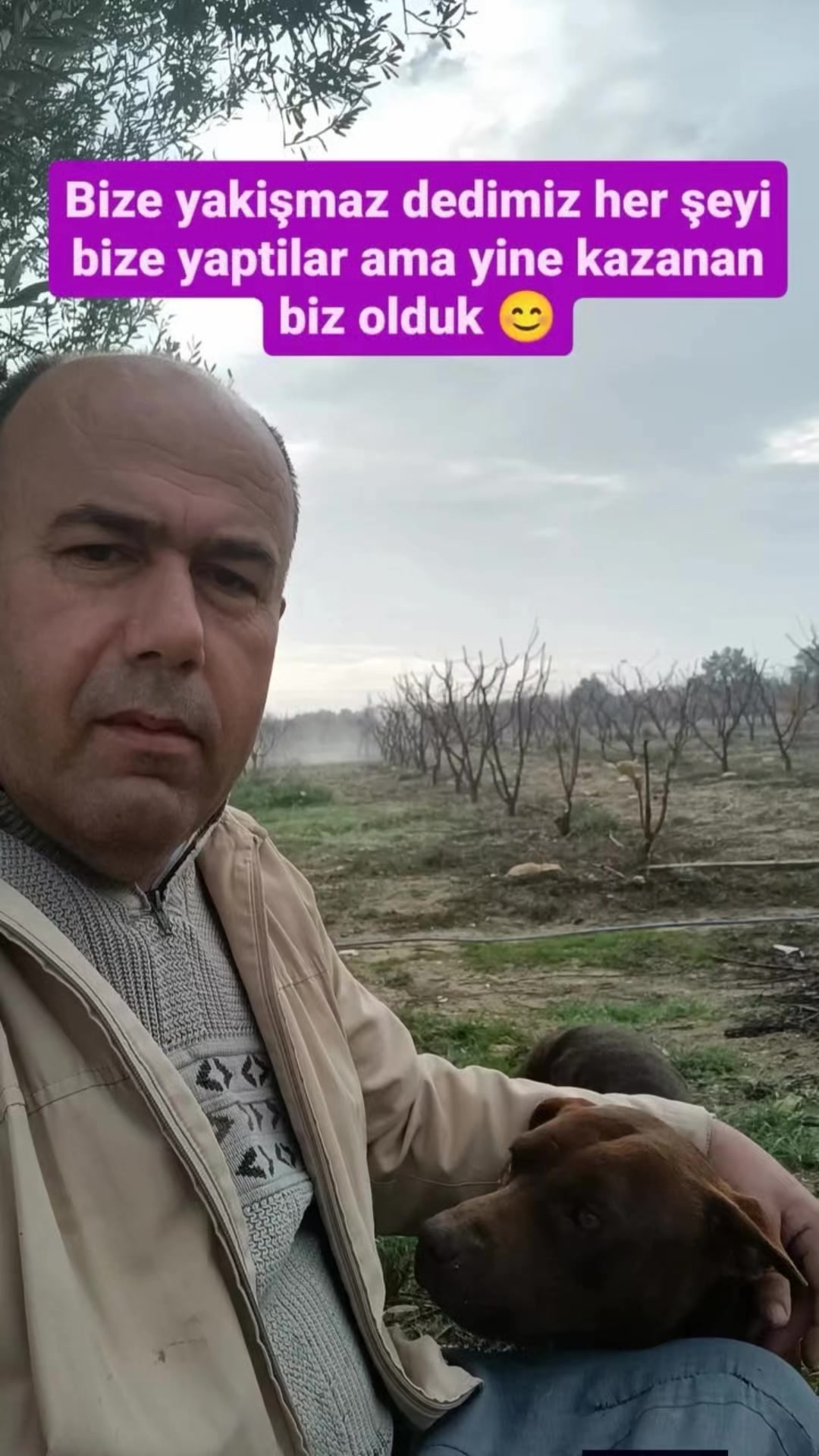 @mersin/mut33