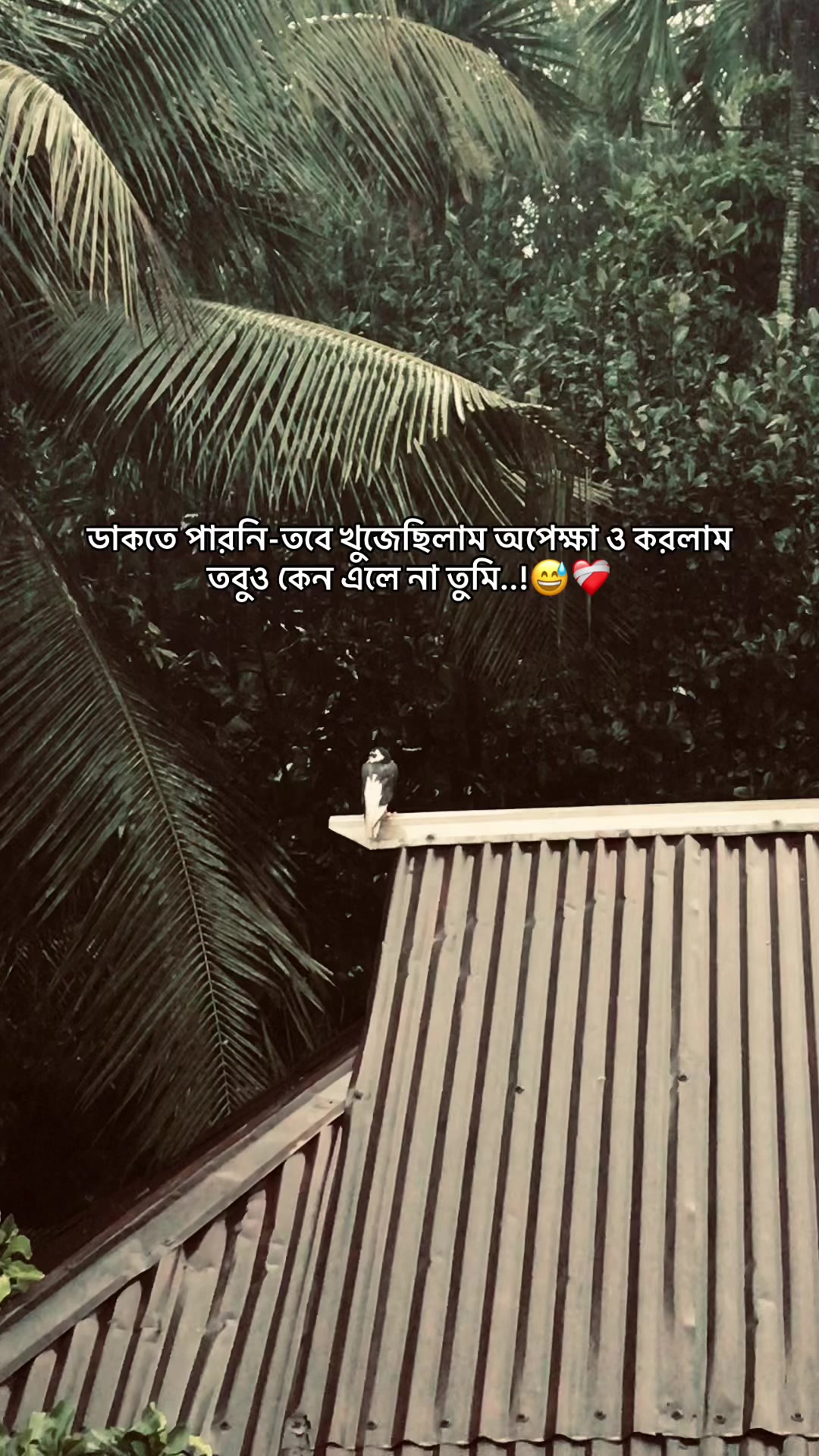 @the_spydoo🕸️ 🥏