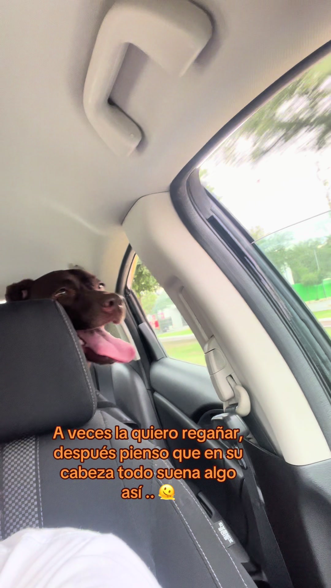@Soycataliina