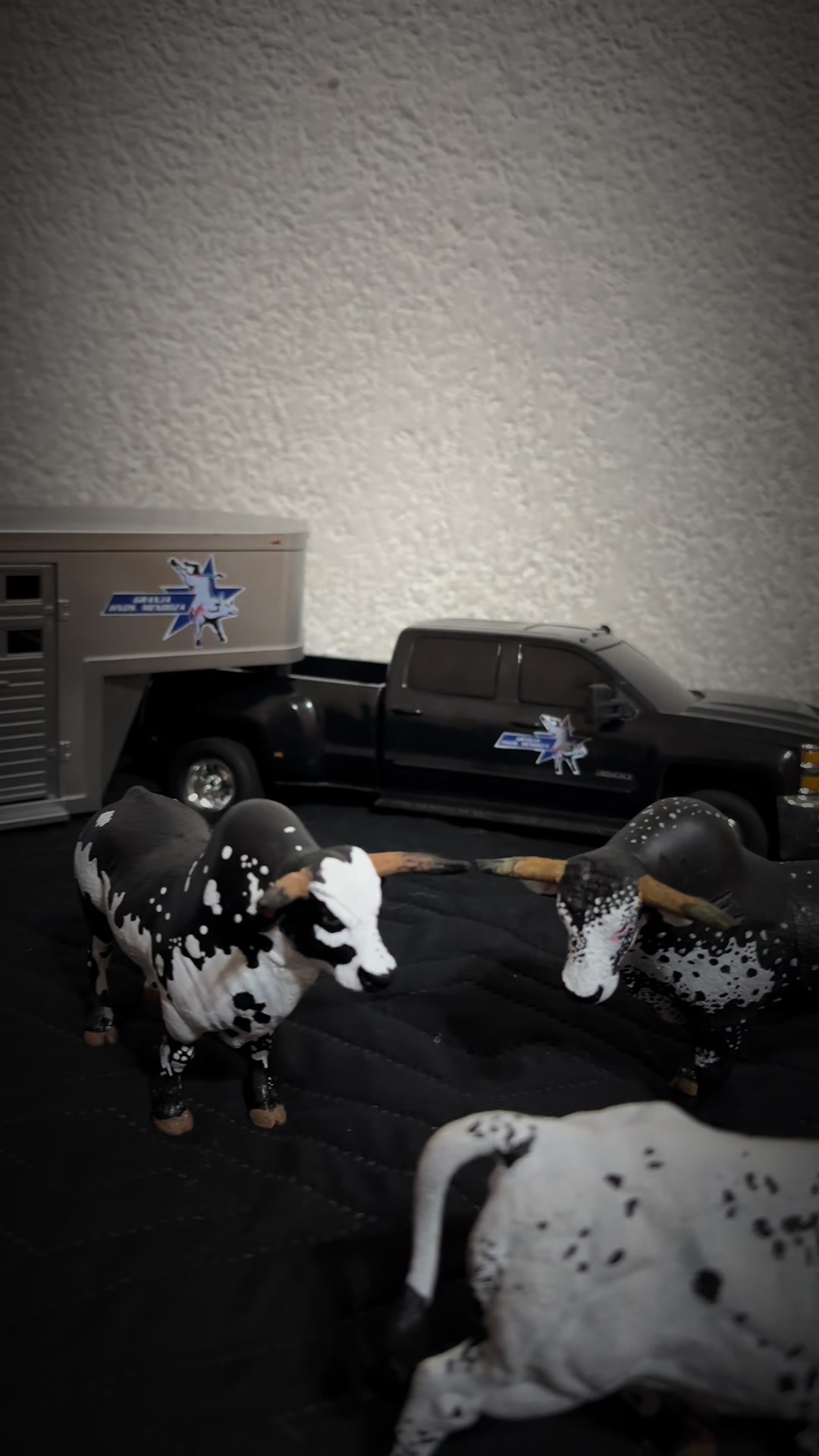 @Charrini toys bull riding