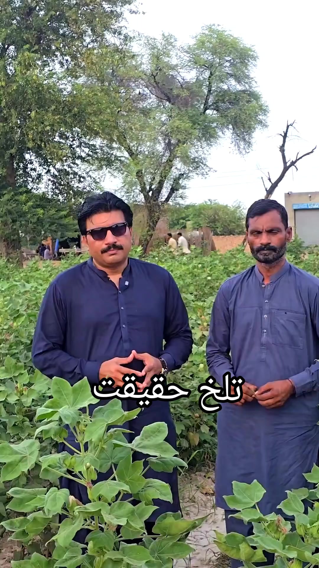@Ali Faisal Jutt