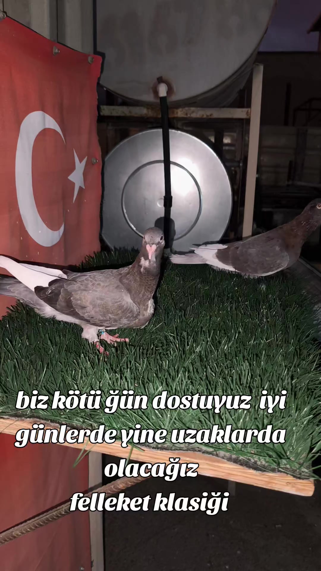 @0163Adanabatarkusu_federasyonu
