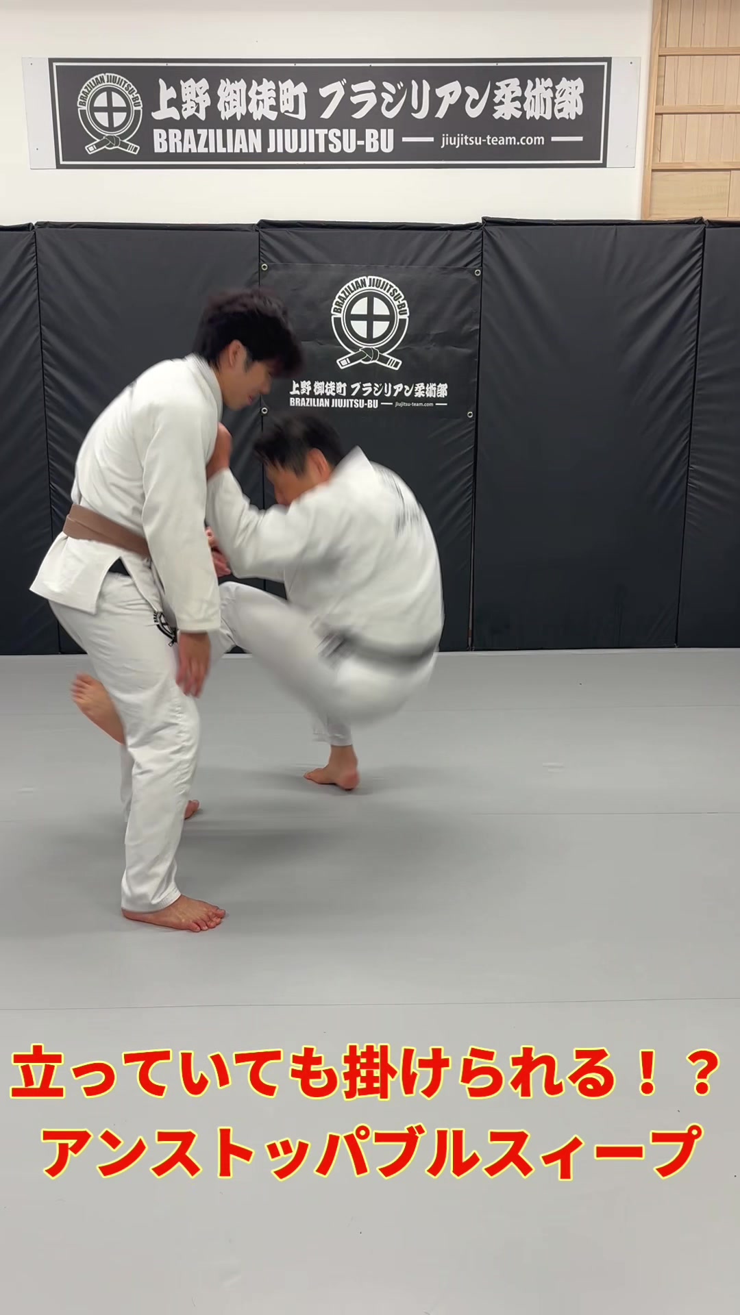 @上野御徒町 小石川白山 ブラジリアン柔術部