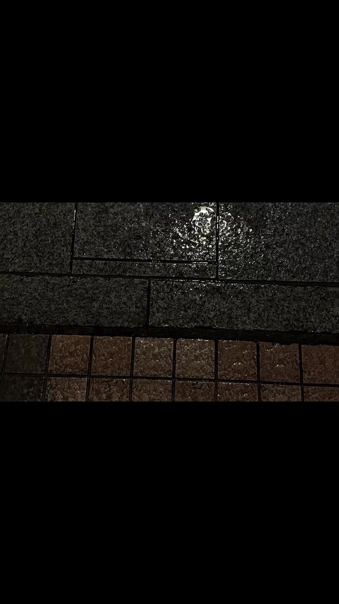@𝙫𝙞𝙥 𝙡𝙮𝙧𝙞𝙘𝙨