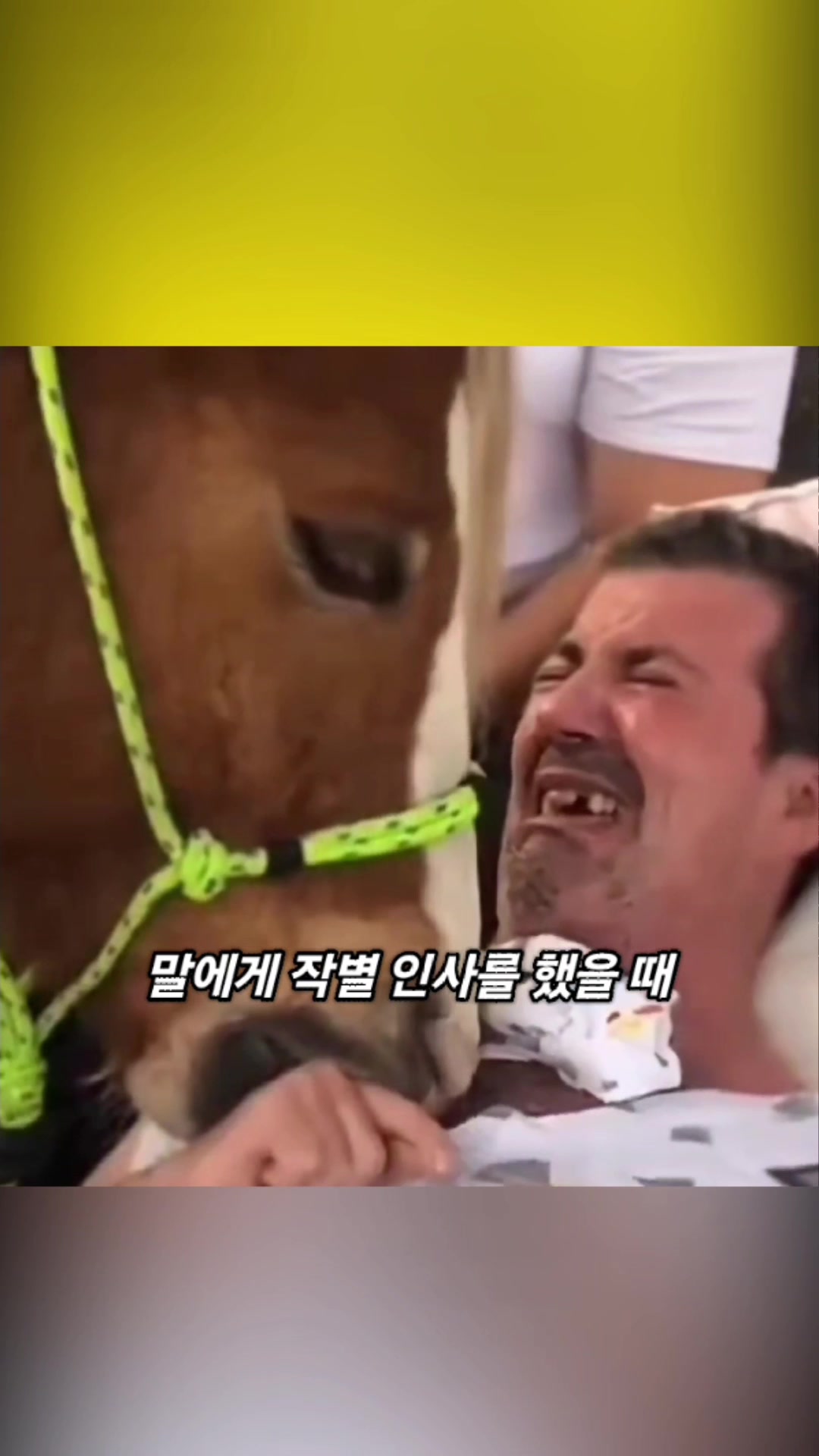 @리멍팔