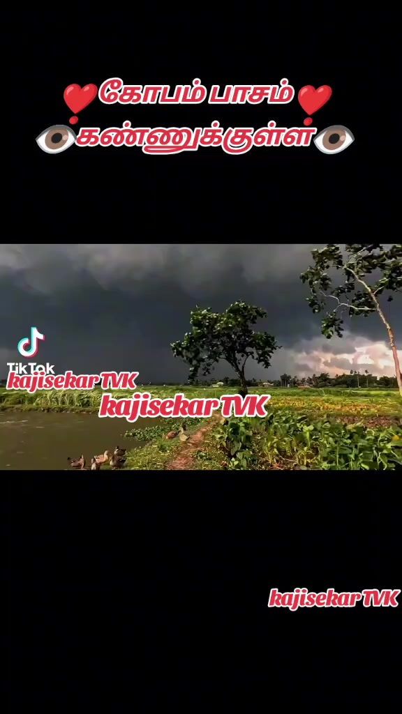 @kaji sekartiktok.com