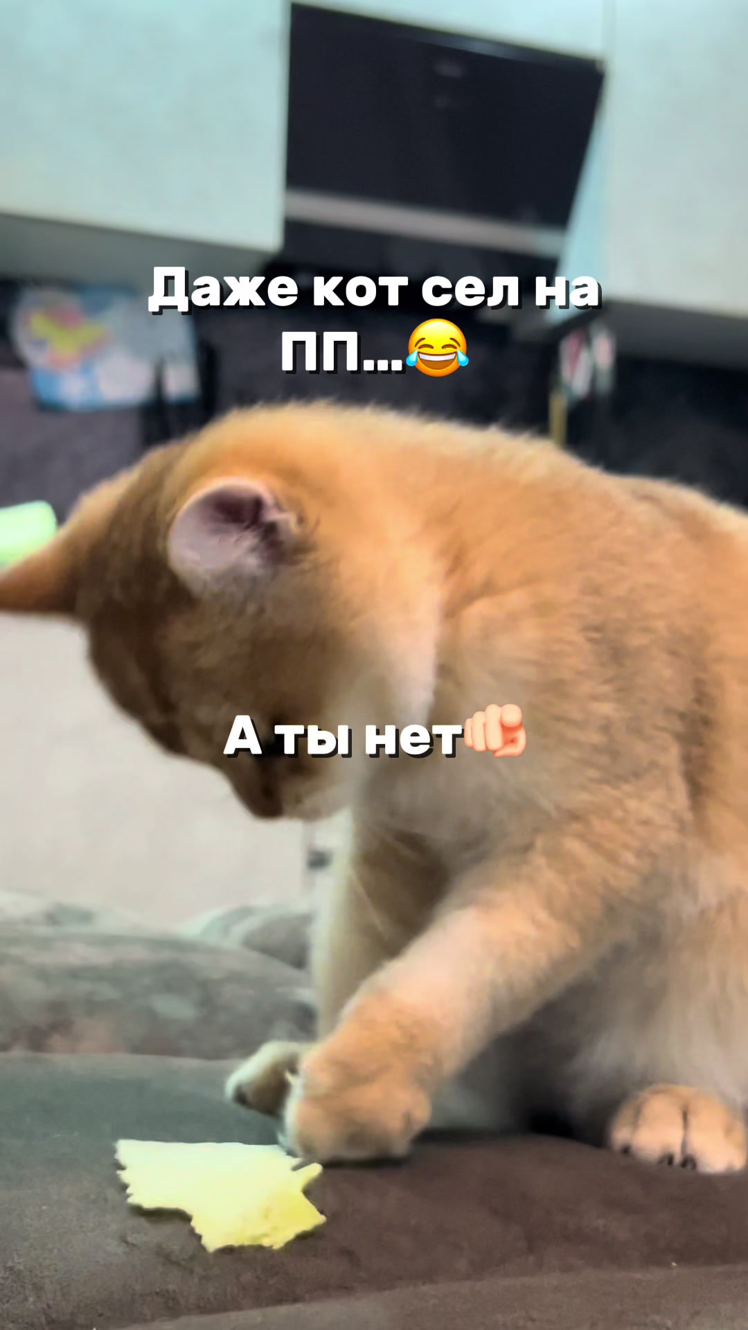 @𝒴𝓊𝓁𝒾𝓎𝒶🏹