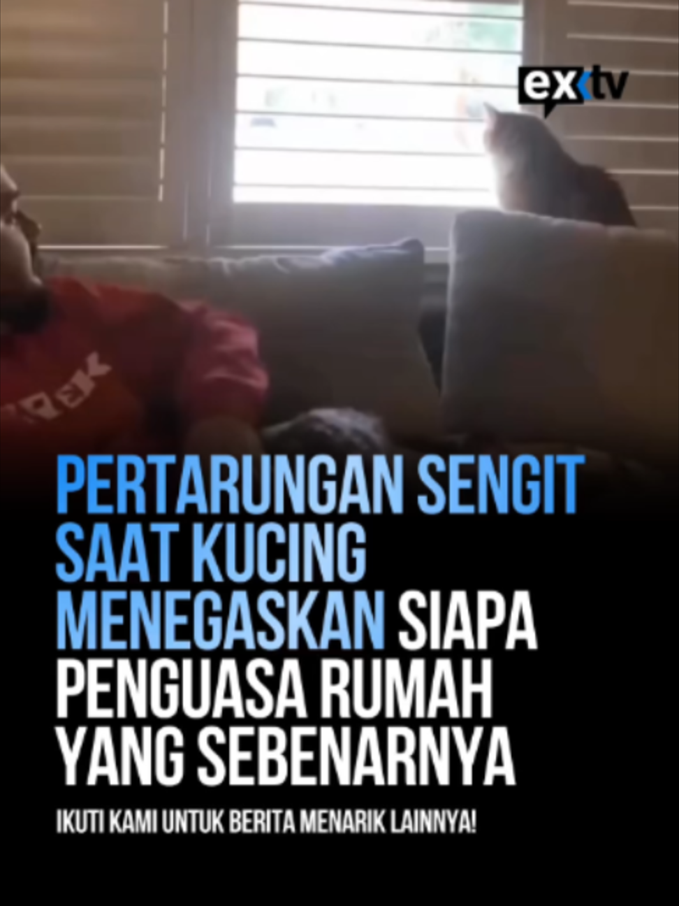 @Expressi Media