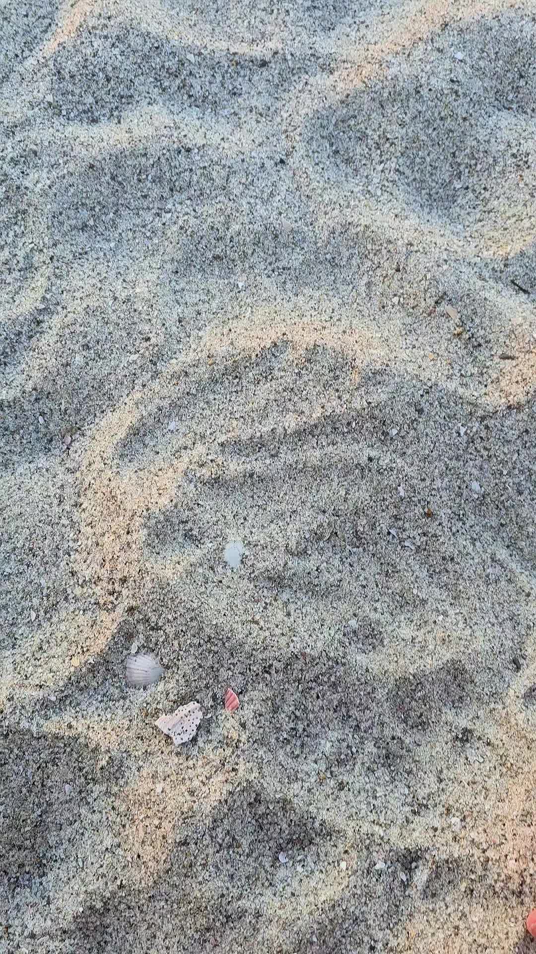 @El Chamba SV