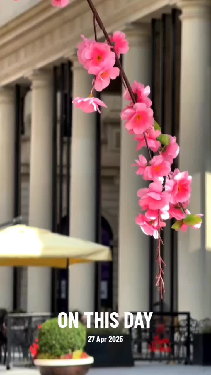 @মূর্খ স্বার্থপর (RÔMJÂÑ)🌸
