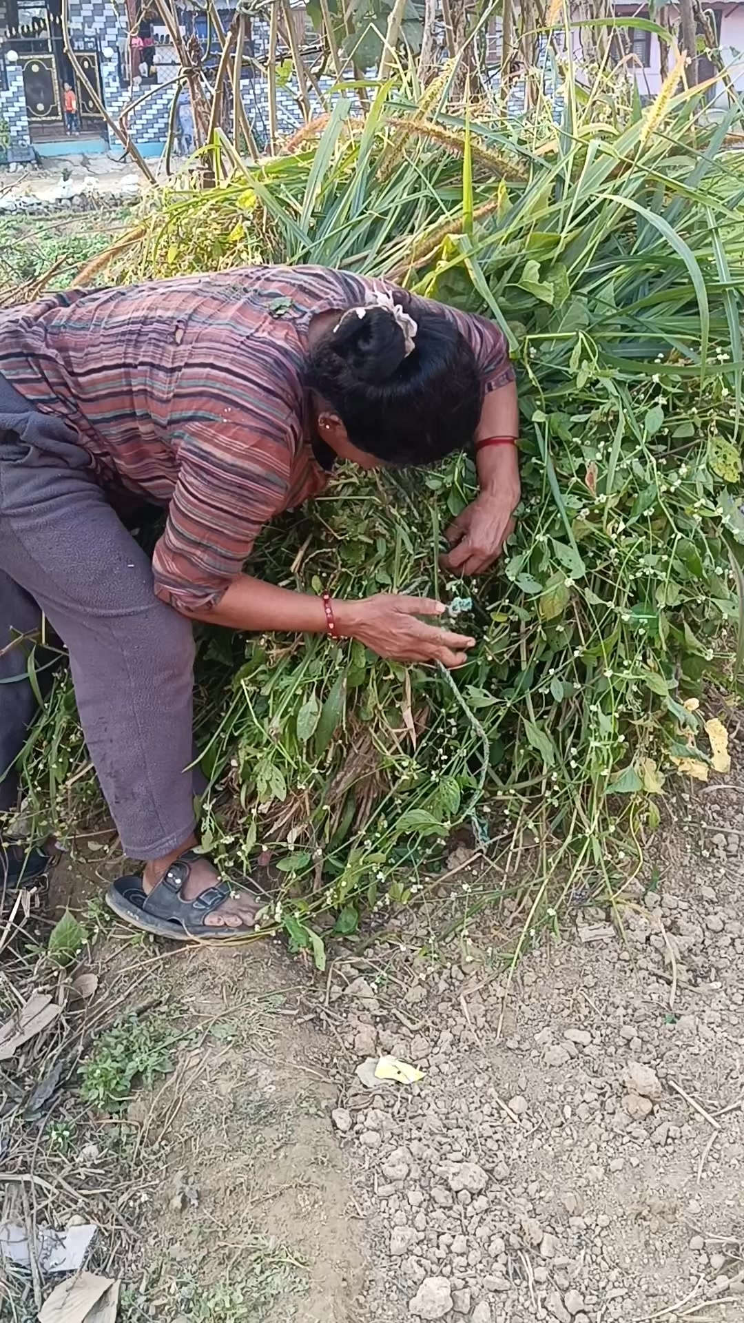 @सुनिता श्रेष्ठ 💐❤️🔥
