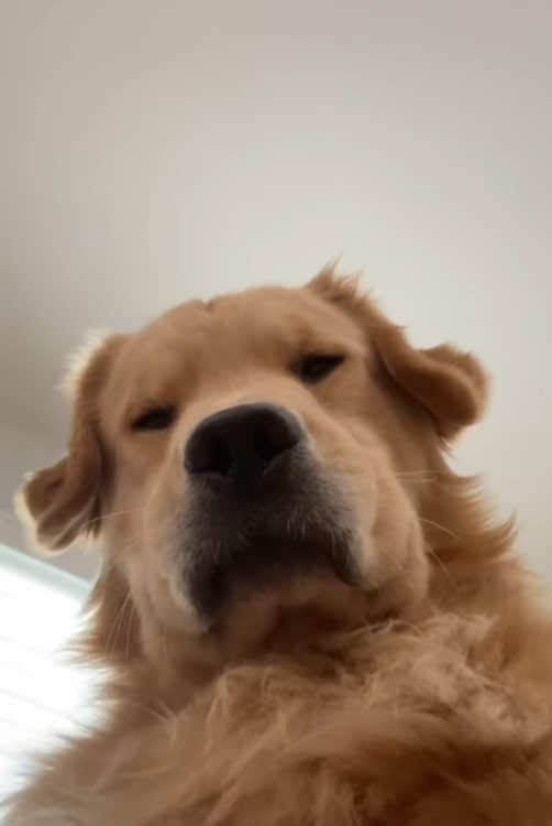 @cuteanimals472