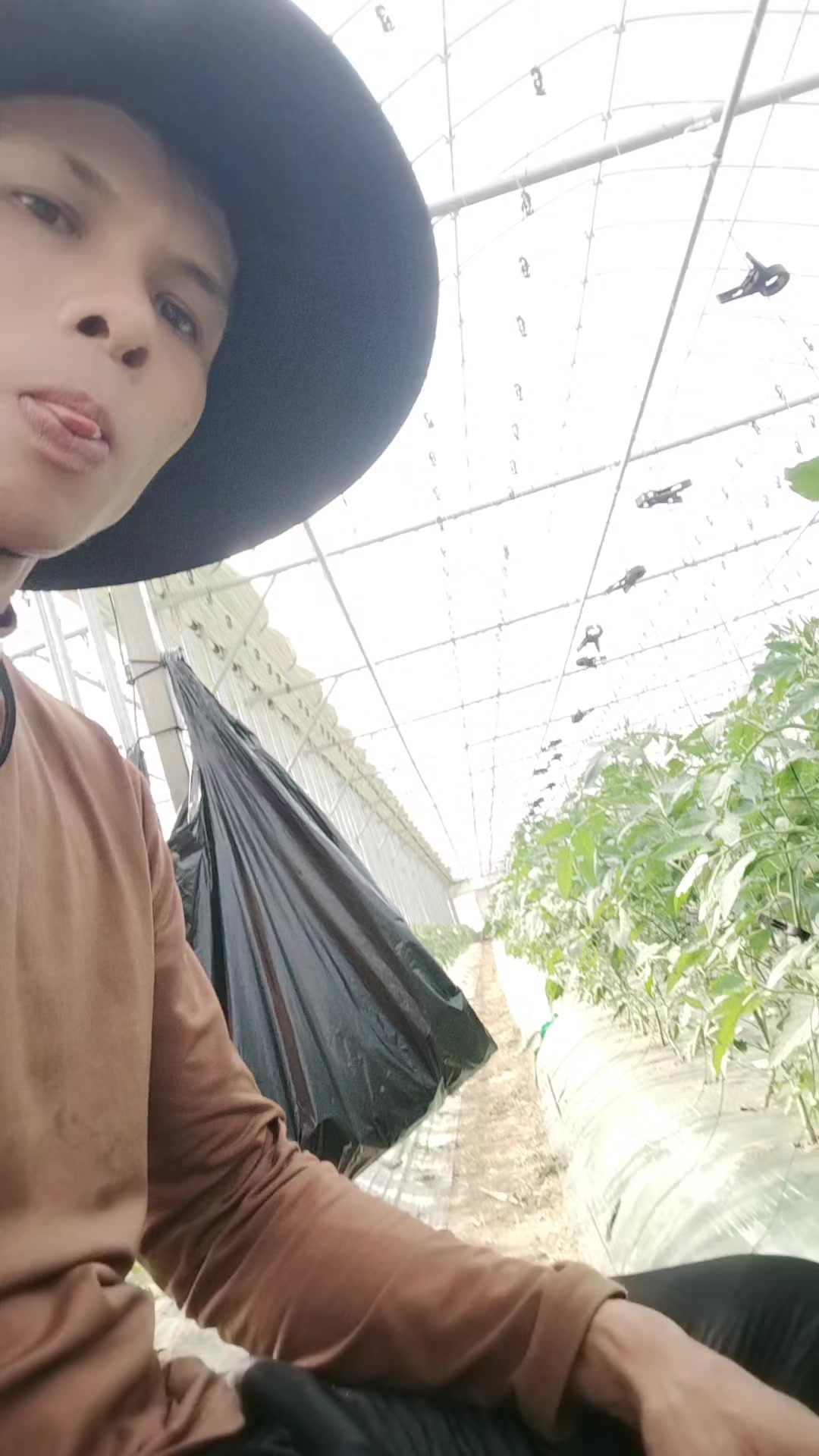 @tr&uacute;c linh1993