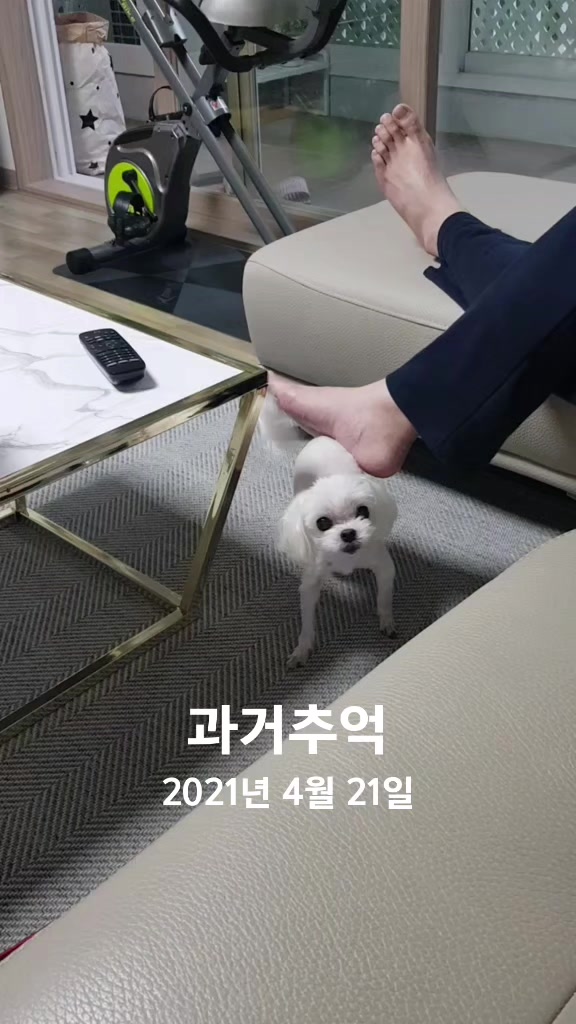 @초롱맘