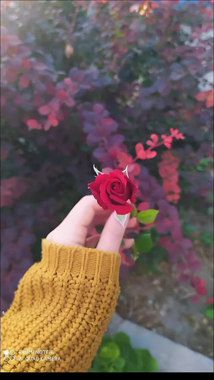 @🦋أثر الفراشة🦋masa