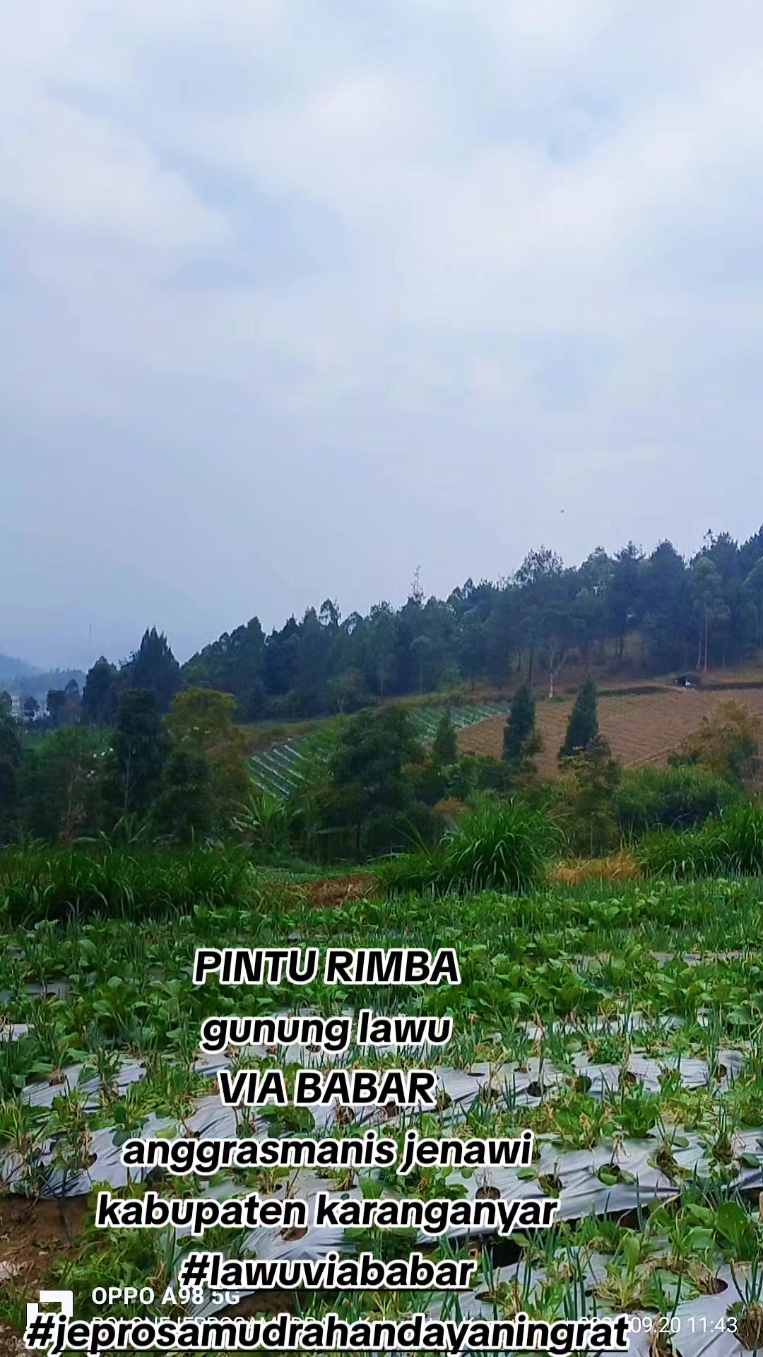 @JEPRO SAMUDRA