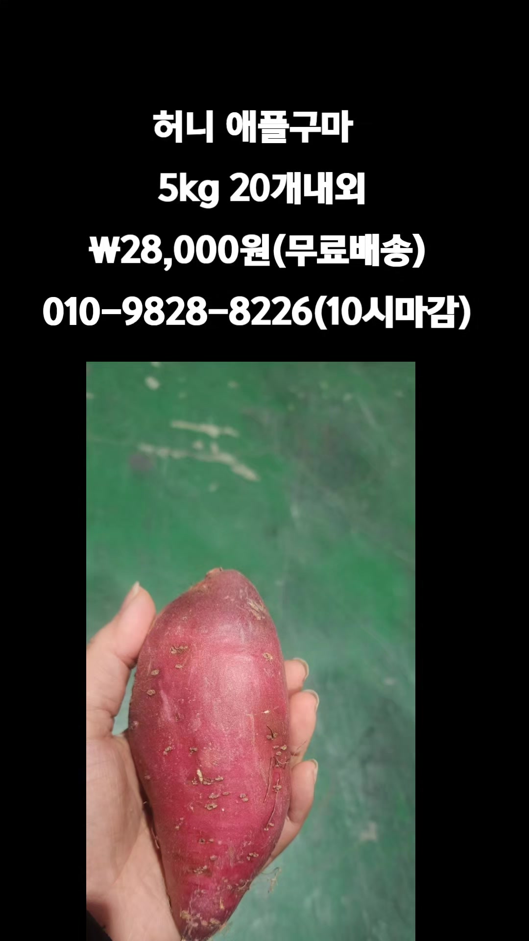 @똑손