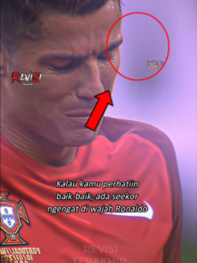 @Revisi Terakhir