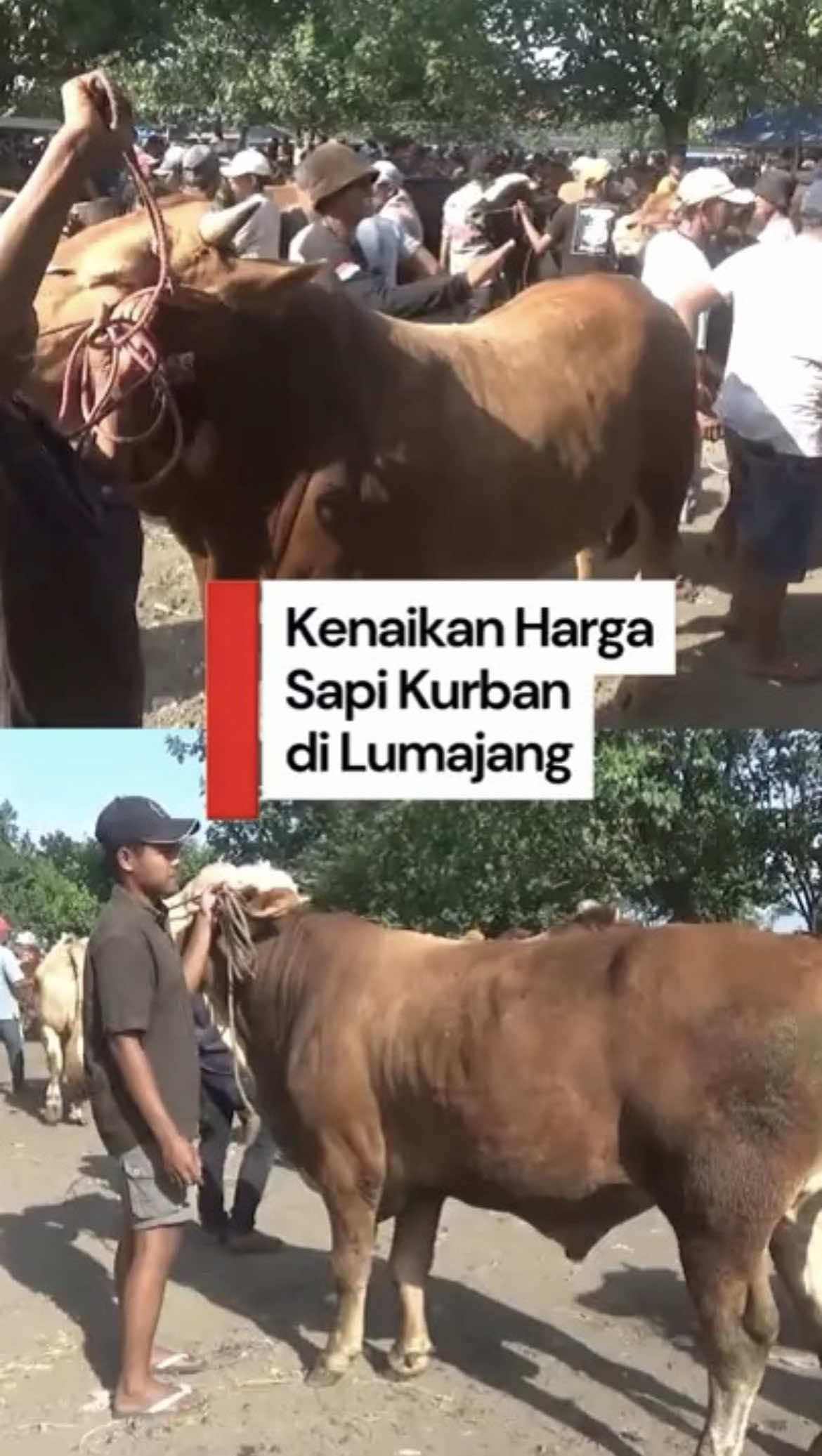 @detikjatim