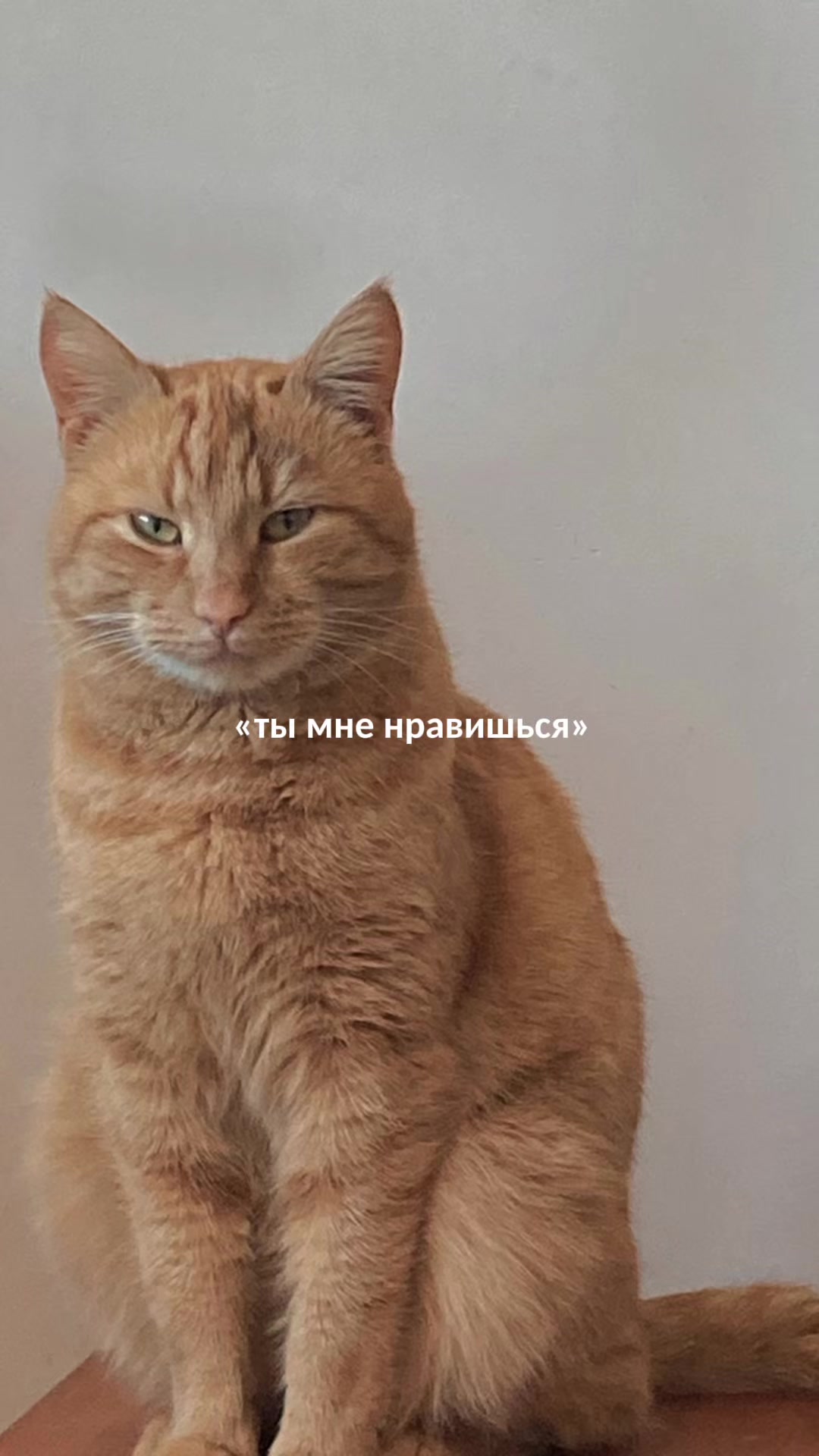 @Александра