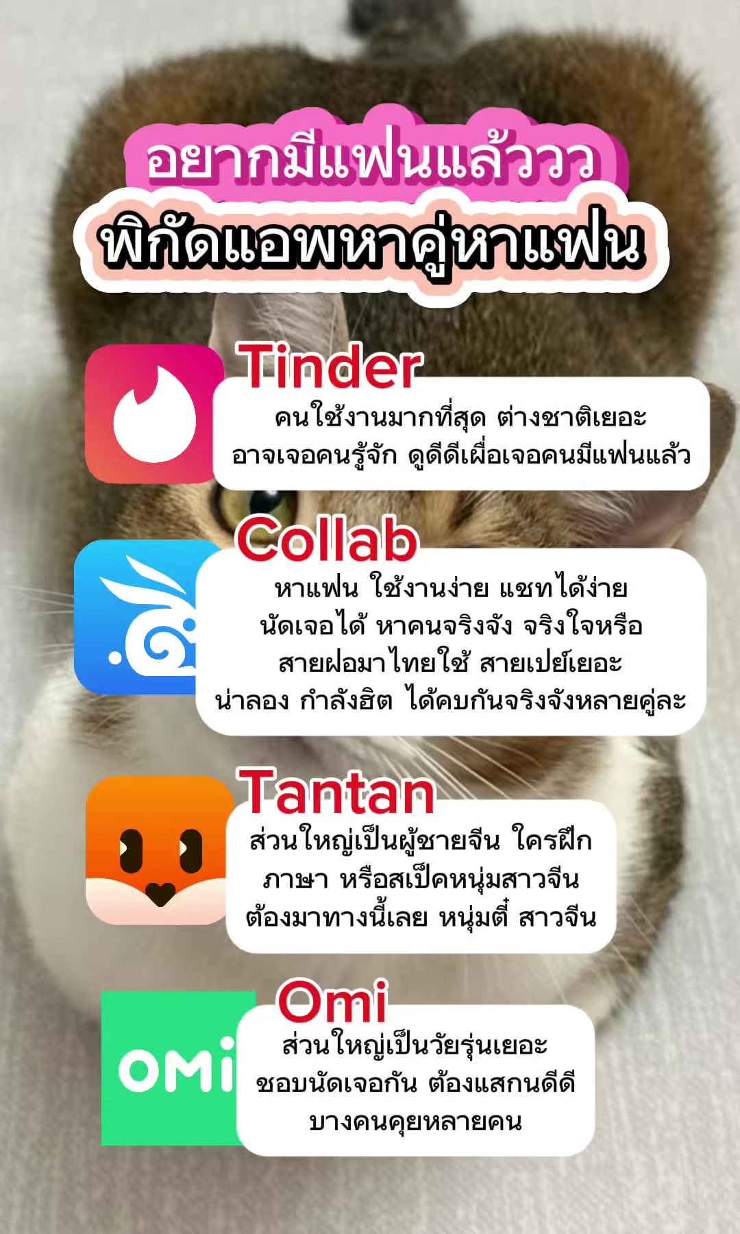 @Collab คนเหงา