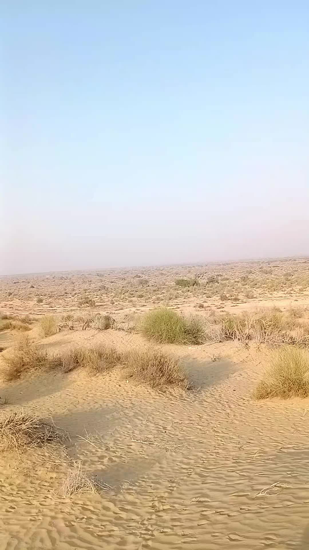 @Irtaza 267