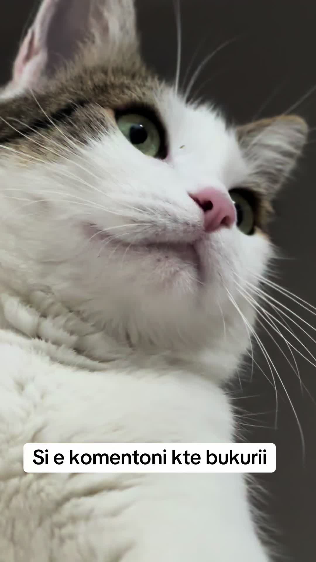 @Kiki