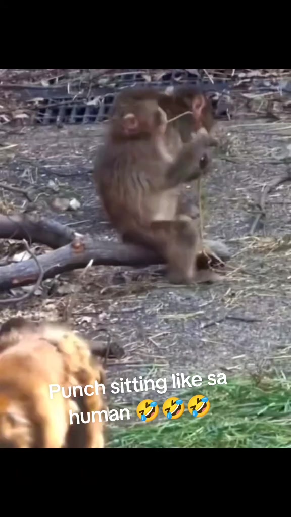 @zikstin16