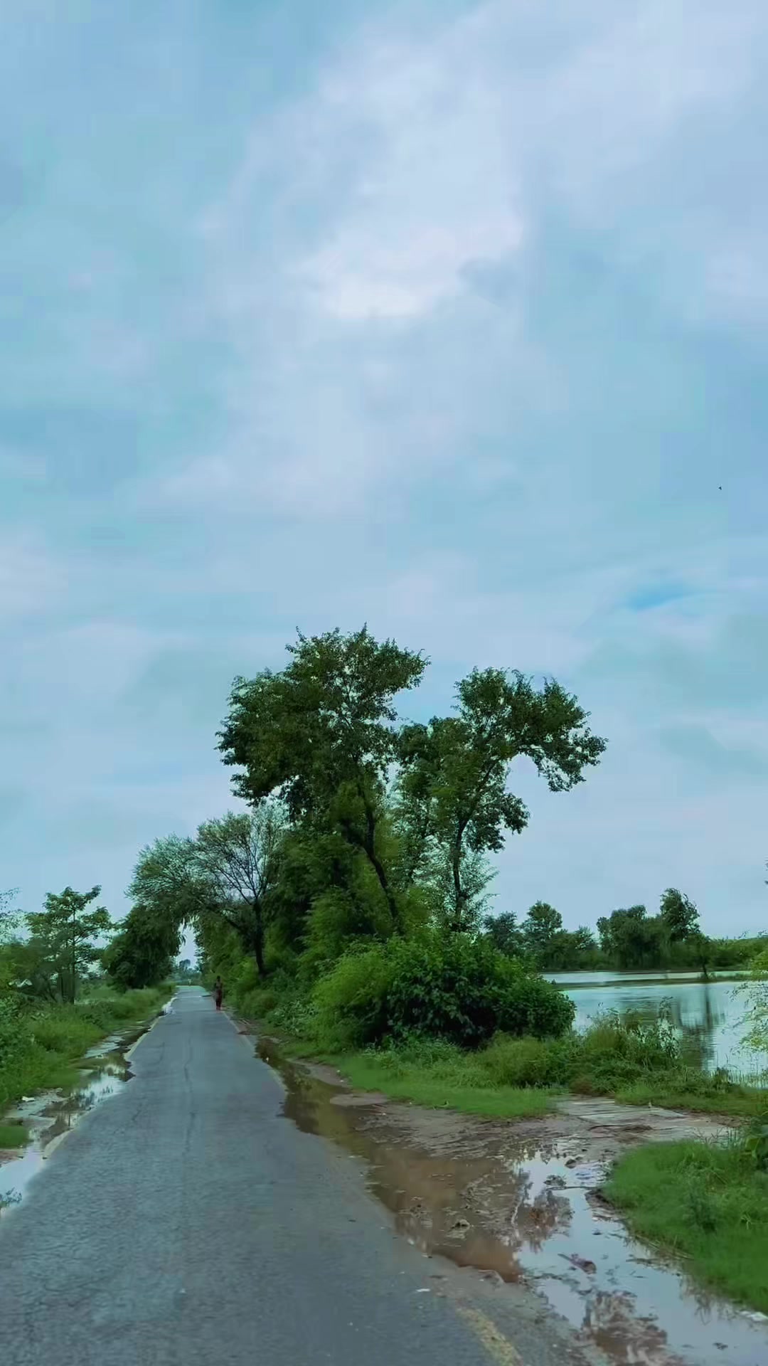 @KAIFALIG