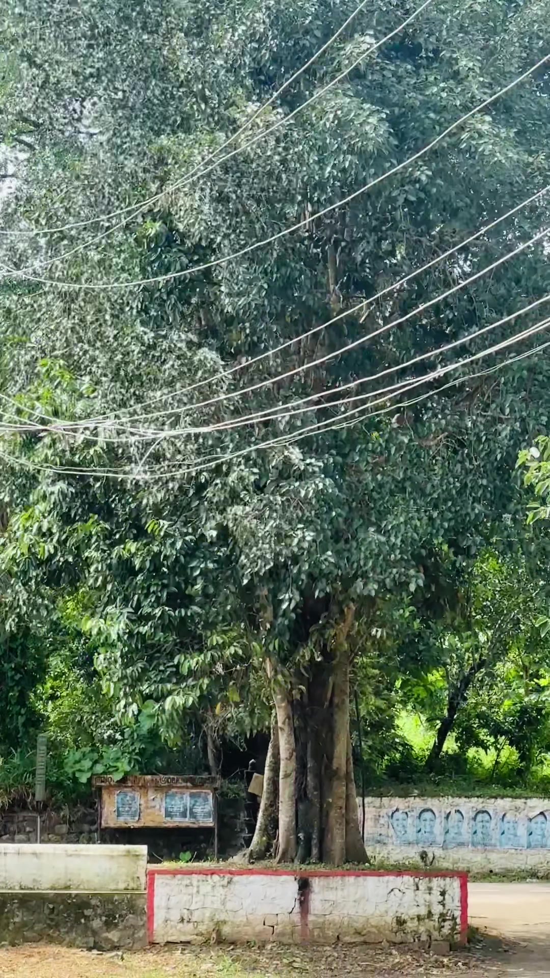 @sreelakshmi