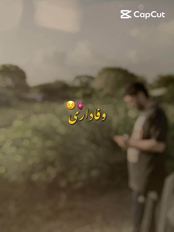 @bilal ziauddin