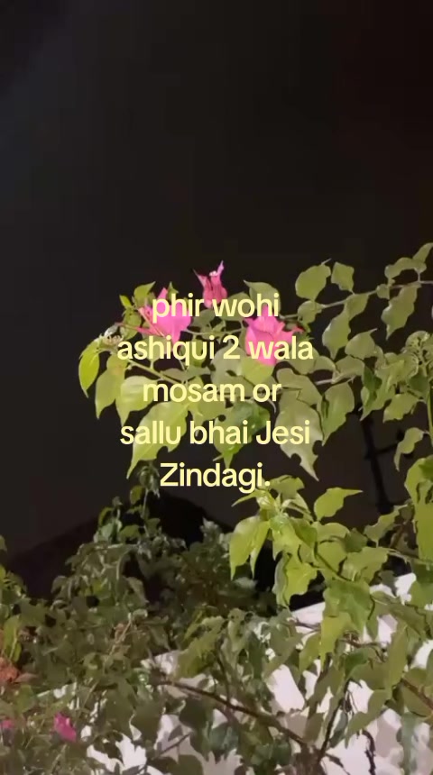 @🫧