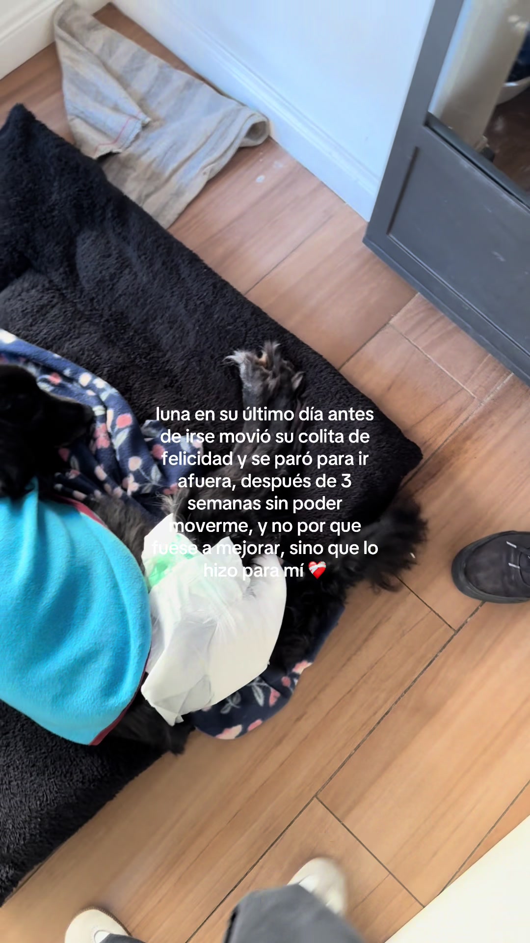 @Rena Caraccini