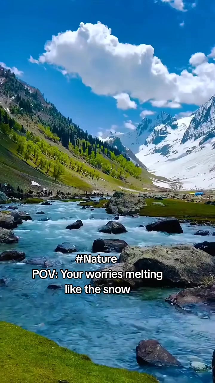 @نورین فخرچوہدری