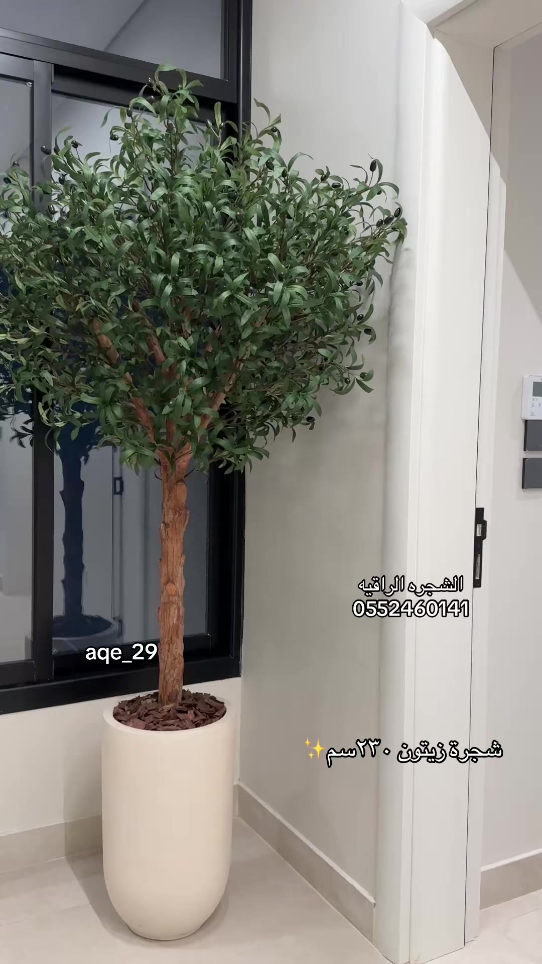 @الشجره الراقيه(زهور المملكه)🌴