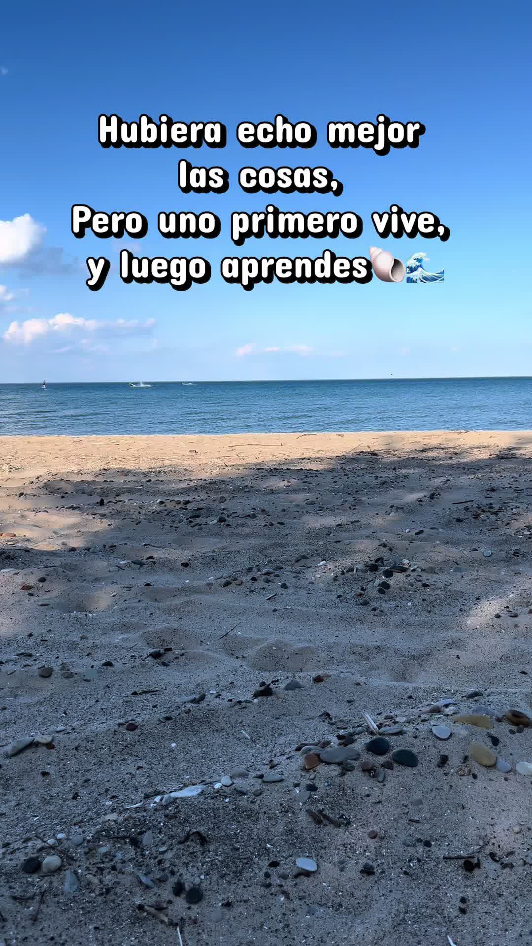 @🩺M&eacute;dico Veterinario Vilchis🤠