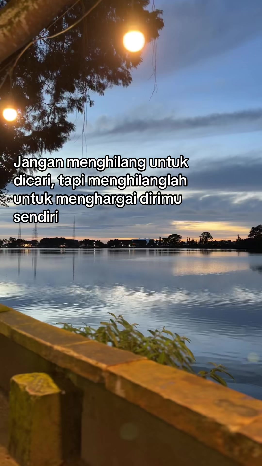 @noviaa