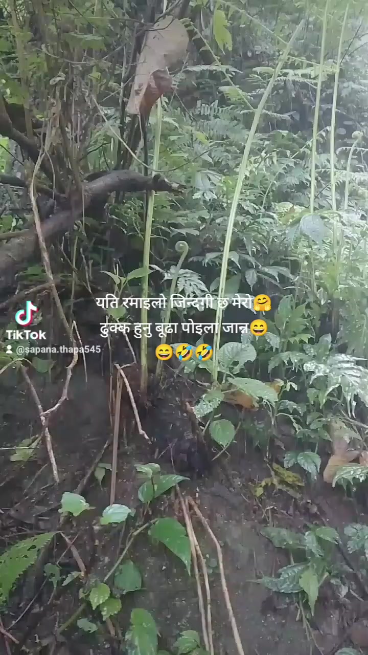 @Sapana Thapa