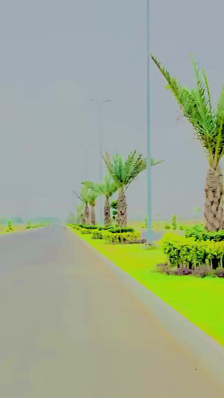 @Ibrar Jora