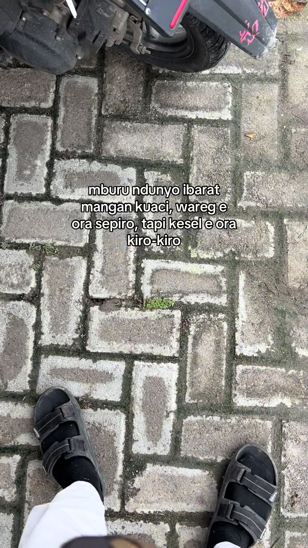 @yoyok 🦀