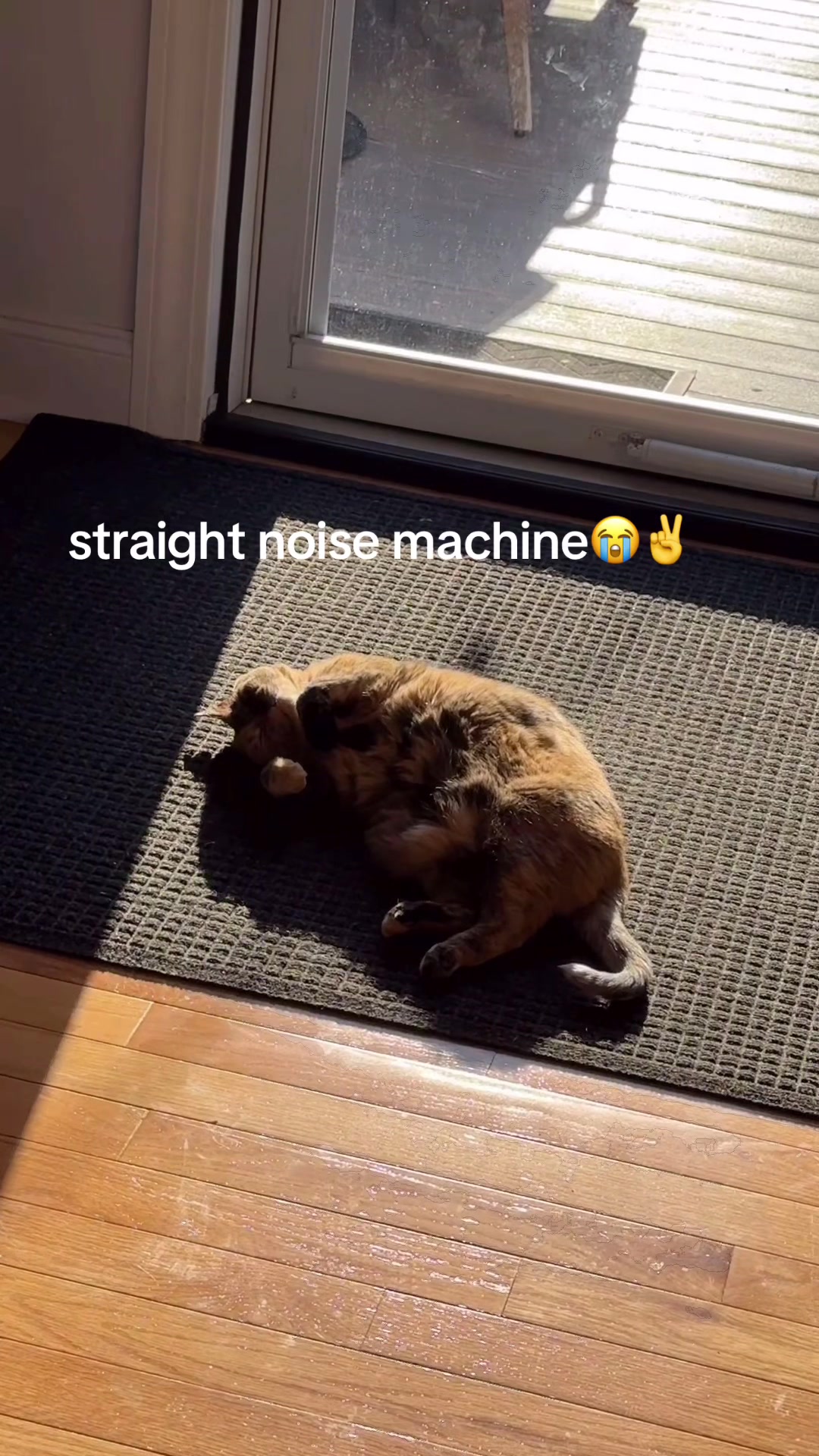 @james_ca_